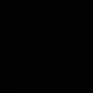 Meet your Posher, Delilah